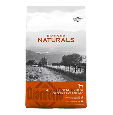 Top High-Protein Dog Foods for a Healthy, Long Life