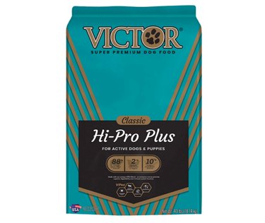 Top High-Protein Dog Foods for a Healthy, Long Life