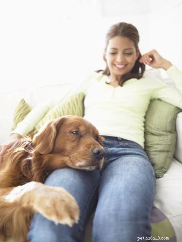 Can Dogs Contract Athlete s Foot? Understanding Canine Fungal Infections