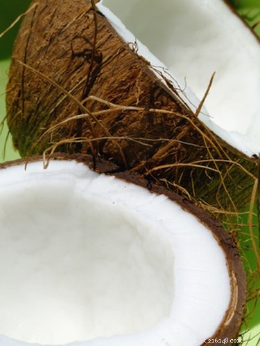 Coconut Oil: A Natural Solution for Your Dog’s Dry Skin