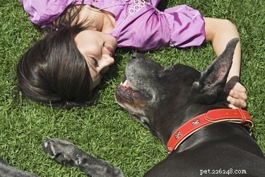 Common Skin Disorders Affecting Your Dog’s Elbow: Signs, Causes, and Vet Care
