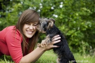 Early Detection of Tumors in Dogs: Key Symptoms to Watch For