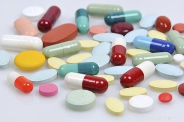 Tramadol in Dogs: Recognizing and Managing Aggressive Behavior Side Effects
