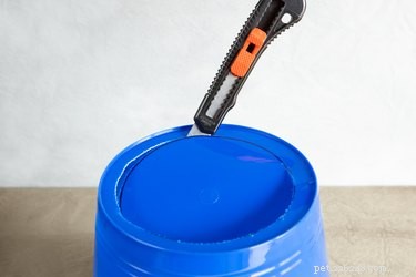 DIY Dog Head Cone: Safeguard Wounds & Speed Healing