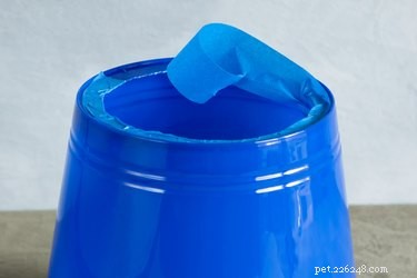 DIY Dog Head Cone: Safeguard Wounds & Speed Healing
