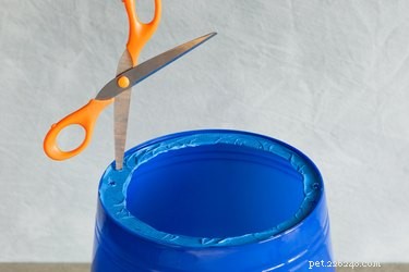 DIY Dog Head Cone: Safeguard Wounds & Speed Healing