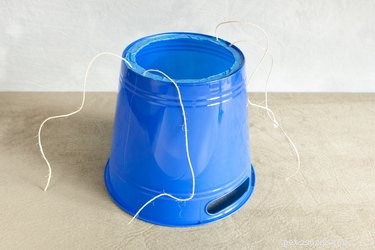 DIY Dog Head Cone: Safeguard Wounds & Speed Healing
