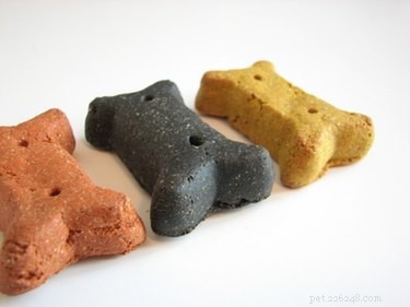 Albon (Sulfadimethoxine) Side Effects in Dogs: What You Need to Know