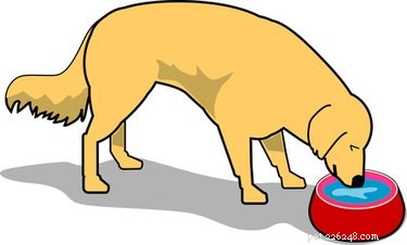 Albon (Sulfadimethoxine) Side Effects in Dogs: What You Need to Know