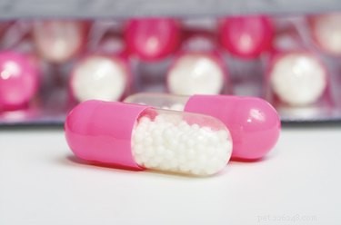 Safe Antibiotics for Dogs: A Vet’s Guide