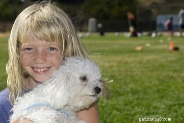 Understanding and Treating Skin Disorders in Maltese Dogs