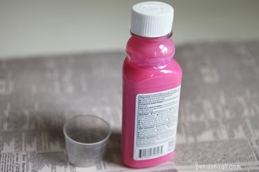 Safe Guide to Administering Kaopectate to Dogs