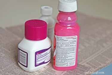 Safe Guide to Administering Kaopectate to Dogs