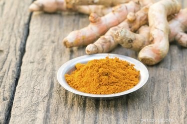 Turmeric for Dogs: Natural Health Benefits & Vet‑Approved Uses