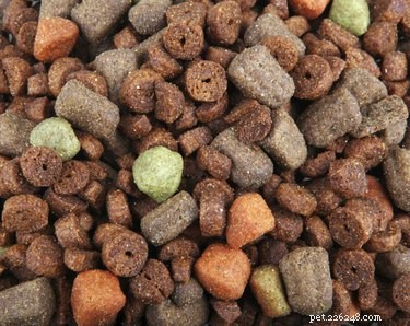 The Essential Role of Vitamin E for Your Dog s Health
