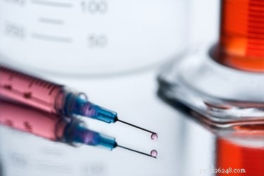 The Comprehensive 8‑in‑1 Dog Vaccine: What It Covers and Why It Matters