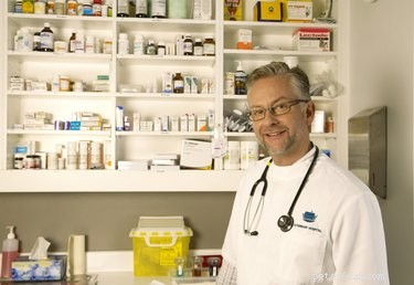 The Comprehensive 8‑in‑1 Dog Vaccine: What It Covers and Why It Matters