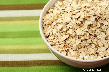 Effective Home Remedies for Chihuahua Skin Care and Allergy Relief