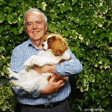 When to Consider Euthanasia for Your Dog: Key Signs to Watch