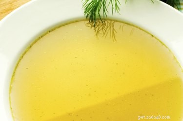 Easily Digestible Foods for Your Sick Dog: A Vet-Approved Guide