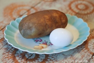 Homemade Dog Food Recipes to Support Dogs with Kidney Failure