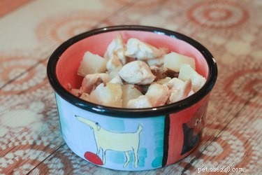 Homemade Dog Food Recipes to Support Dogs with Kidney Failure