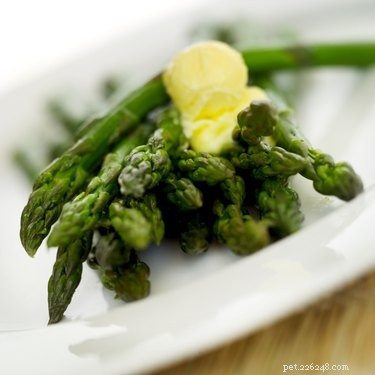 Top Safe Vegetables for Your Dog s Healthy Diet