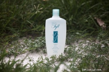 Safe & Effective Use of Avon Skin So Soft for Flea Control in Dogs & Cats