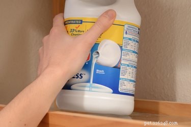 Using Bleach Safely to Treat Dogs’ Skin Problems