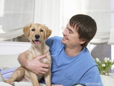 Dog Life Expectancy with Diabetes: Treatment, Prognosis, and Care