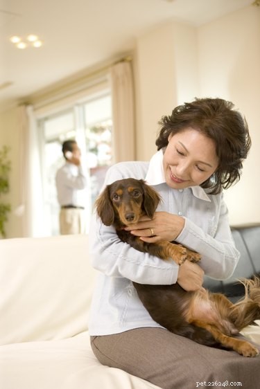 Dog Heart Failure: Symptoms, Prognosis, and Life Expectancy Explained