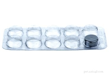Activated Charcoal for Dogs: Safe Use & Vet Guidance