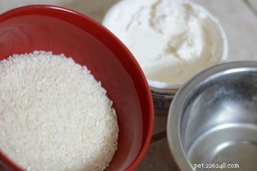 Effective Home Remedies for a Dog s Upset Stomach