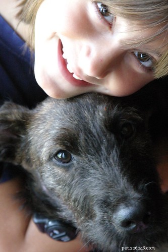 Comparing Dog and Human Anatomy: Key Similarities & Differences