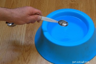 Effective Flea Control: Dawn Dish Soap & Vinegar Home Remedy