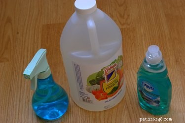 Effective Flea Control: Dawn Dish Soap & Vinegar Home Remedy