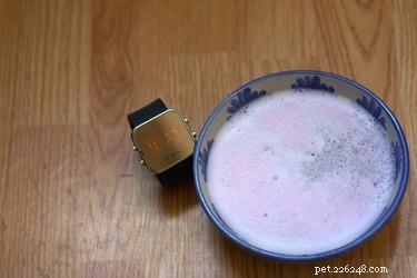 Effective Flea Control: Dawn Dish Soap & Vinegar Home Remedy