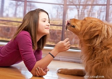 Can Peanut Butter Benefit Your Dog? A Safe Guide