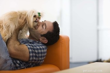 Safe & Effective Colloidal Silver Therapy for Dogs