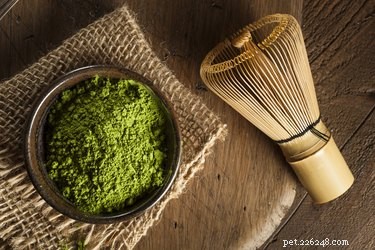 How Green Tea Boosts Your Dog’s Health: Benefits & Safety Tips