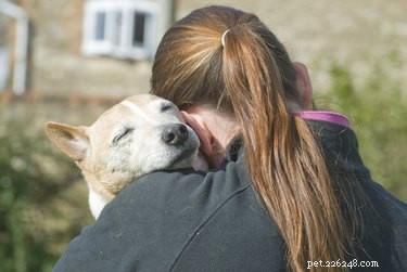 Supporting Your Senior Dog’s Weakening Legs: Practical Care Tips