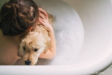 Safe Flea Prevention for Puppies Under 12 Weeks: Expert Guide
