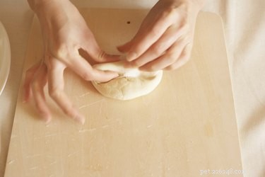 Top Foods Dogs Must Avoid for Their Health
