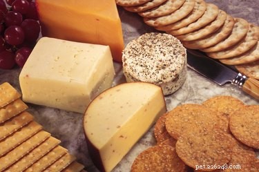 Top Foods Dogs Must Avoid for Their Health