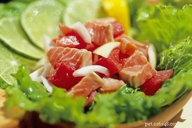Top Foods Dogs Must Avoid for Their Health