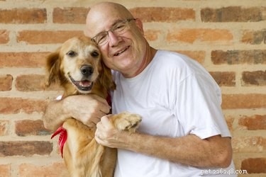 Understanding Calcinosis Circumscripta: Causes, Symptoms, and Treatment in Dogs