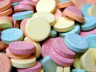 Are Rolaids Safe for Dogs? What You Need to Know