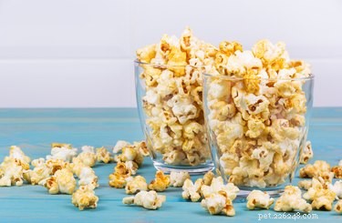 Is Popcorn Safe for Dogs? What You Need to Know