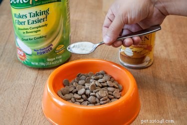 Effective Steps to Relieve a Constipated Puppy