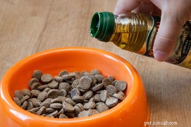 Effective Steps to Relieve a Constipated Puppy